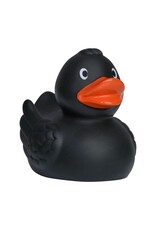 Canard Noir avec des Ailes