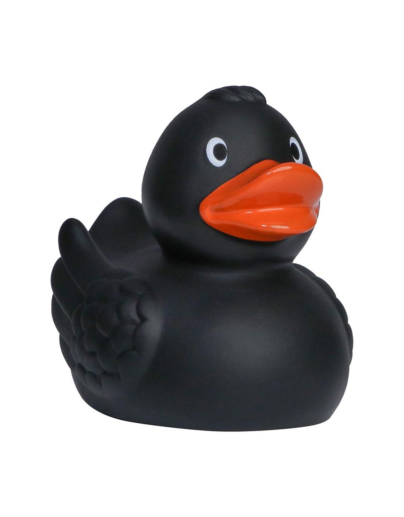 Canard Noir avec des Ailes