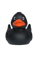 Canard Noir avec des Ailes