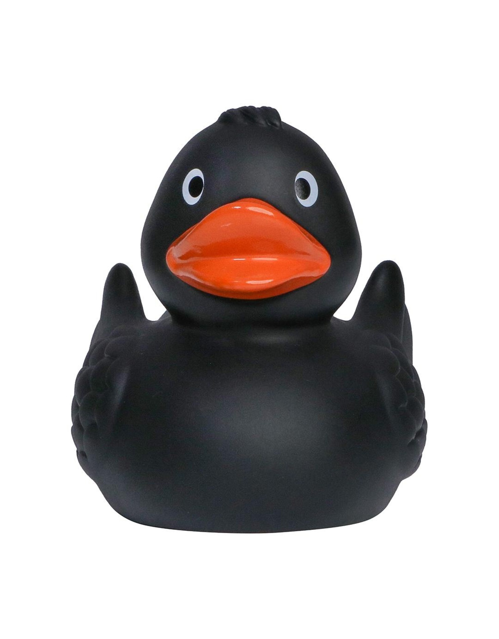 Canard Noir avec des Ailes