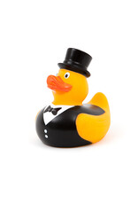 LPDS Couple canard marié/marié