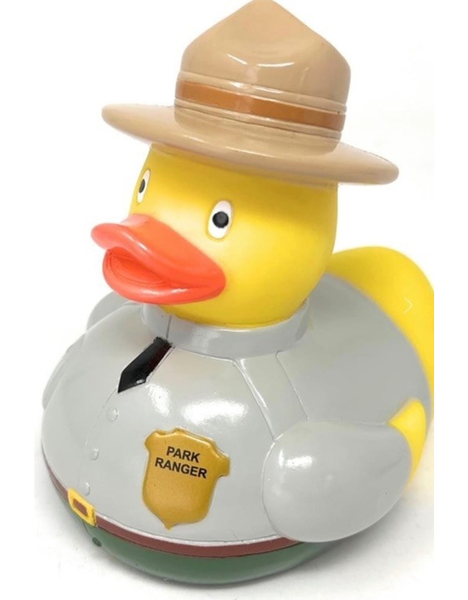 Canard Garde Forestier