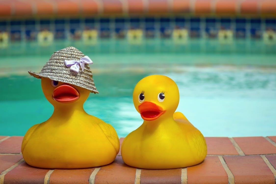 Why Are Rubber Ducks So Popular Around the World?