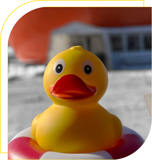 Rubber Ducks Overview