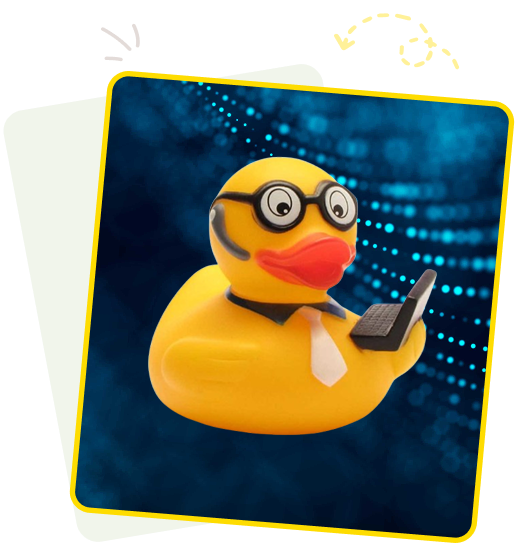 Rubber Ducks Overview