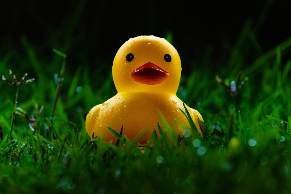 When did the Rubber Duck Cruise Ships Trend Start? The Story of a Global Cruise Trend