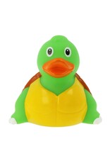 Lilalu  Canard Tortue