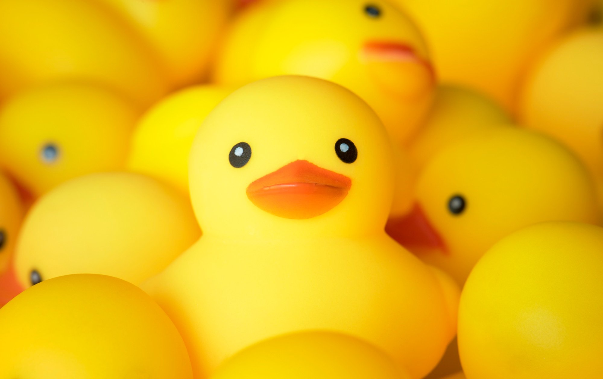 Discover the Rubber Duck Method for Clear Thinking and Focus