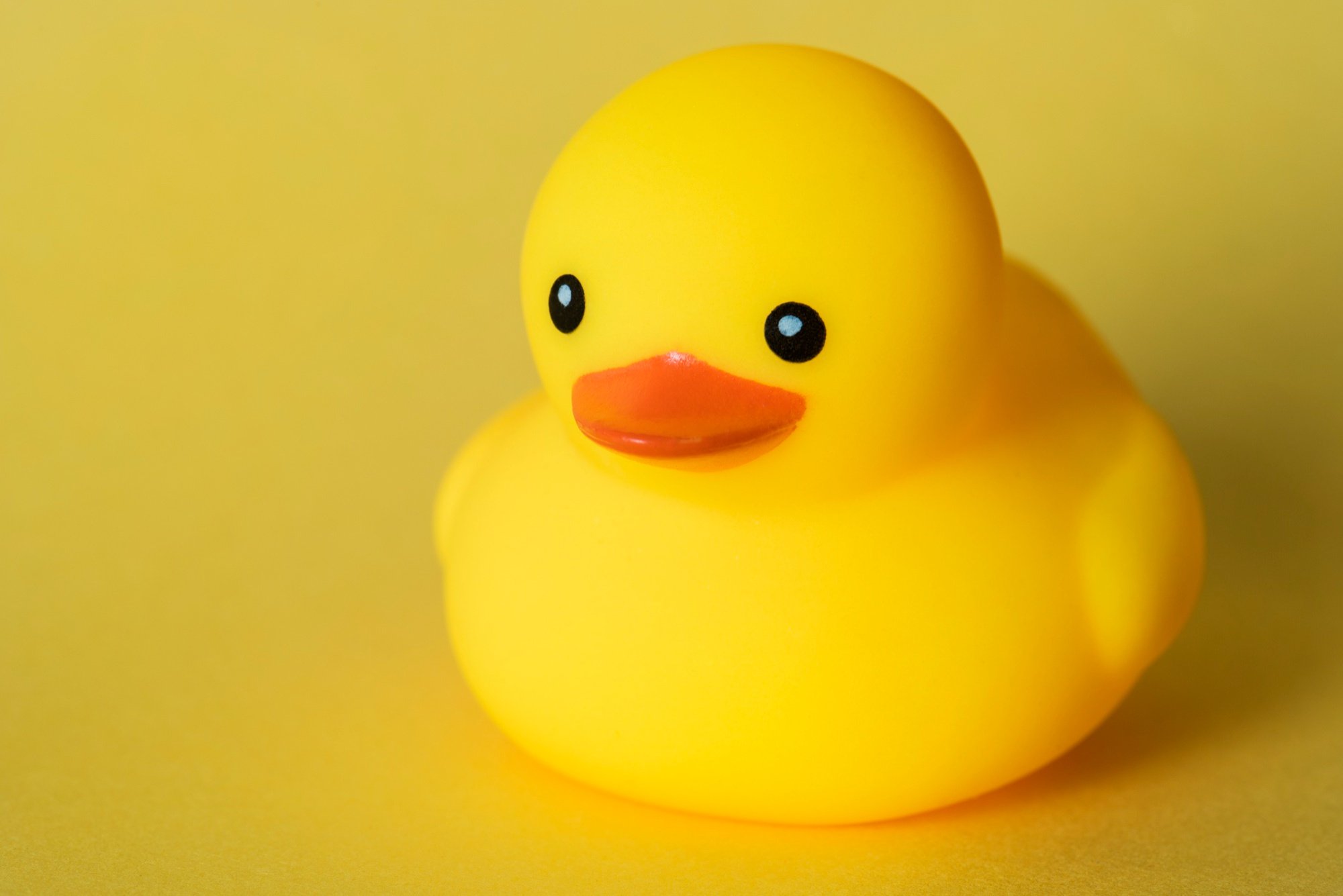 What Is Rubber Ducking? How Coding’s Quirky Habit Boosts Creativity?