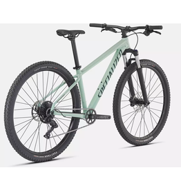 Specialized ROCKHOPPER COMP 29 - GLOSS CA WHITE SAGE / SATIN FOREST GREEN  S