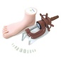 DL Professional DL Professional Pedicure Training Kit Foot Manikin w/ Holder & Nails