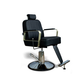 Berkeley Berkeley Hudson All Purpose Barber Salon Styling & Shaving Chair