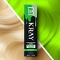Level3 Level3 [LV3] Kray Semi Permanent Color Bondfusion Technology 100ml 3.4oz