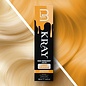 Level3 Level3 [LV3] Kray Semi Permanent Color Bondfusion Technology 100ml 3.4oz