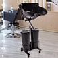 Beauty Kit Solutions Portable Shampoo Bowl with Drain Hose 2 Buckets Adjustable Height Salon Sink
