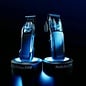 BabylissPRO BabylissPro Dual Coil Motor Clipper and Trimmer