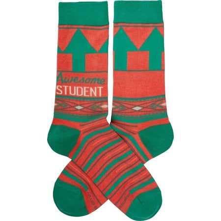 Awesome Student Socks