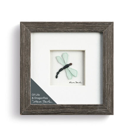 Pebble Prints Of Life & Dragonflies Pebble Prints Wall Art