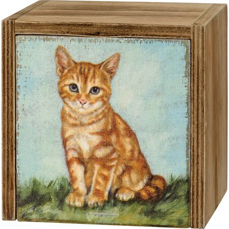 Memory Box for Orange Cat