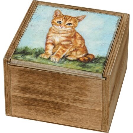 Memory Box for Orange Cat