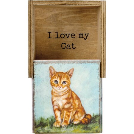 Memory Box for Orange Cat