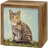  Memory Box for Tabby Cat