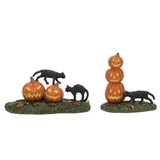 Department 56 Halloween Cross Product Scary Cats & Pumpkins Accessory