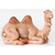 Fontanini Fontanini Seated Camel 5" Collection
