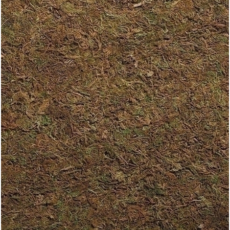 Fontanini Fontanini Moss Landscape 5" Collection