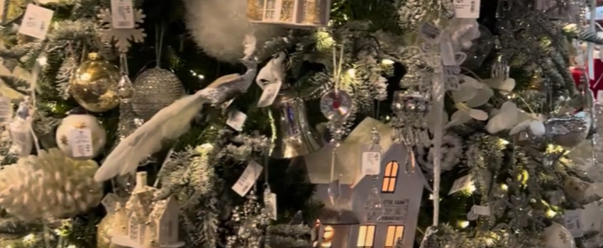 Tour Our White Christmas Theme Tree