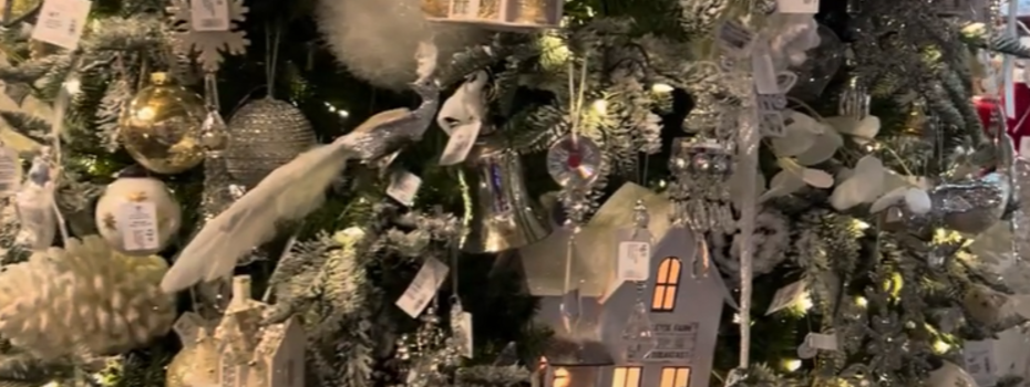 Tour Our White Christmas Theme Tree