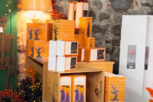 Tour Our New Halloween Room In The Mercantile @ Newberry