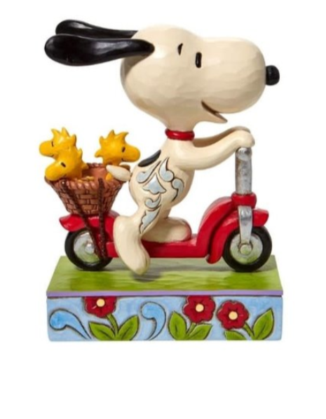 Evolve For The Home Online