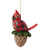 Jim Shore Jim Shore Highlnd Glen Cardinal Pine Ornament