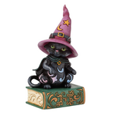 Jim Shore Jim Shore Black Cat Sitting on Book Figurine