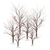 Department 56 Village Cross Product Bare Branch Tree Accessory