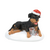 Department 56 Snow Village Perfect Gift for Snots Accessory
