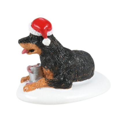 Department 56 Snow Village Perfect Gift for Snots Accessory