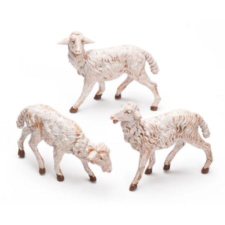 Fontanini Fontanini White Sheep Set 7.5" Collection