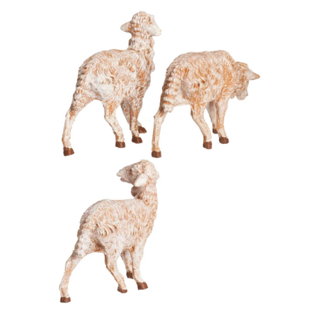 Fontanini Fontanini White Sheep Set 7.5" Collection