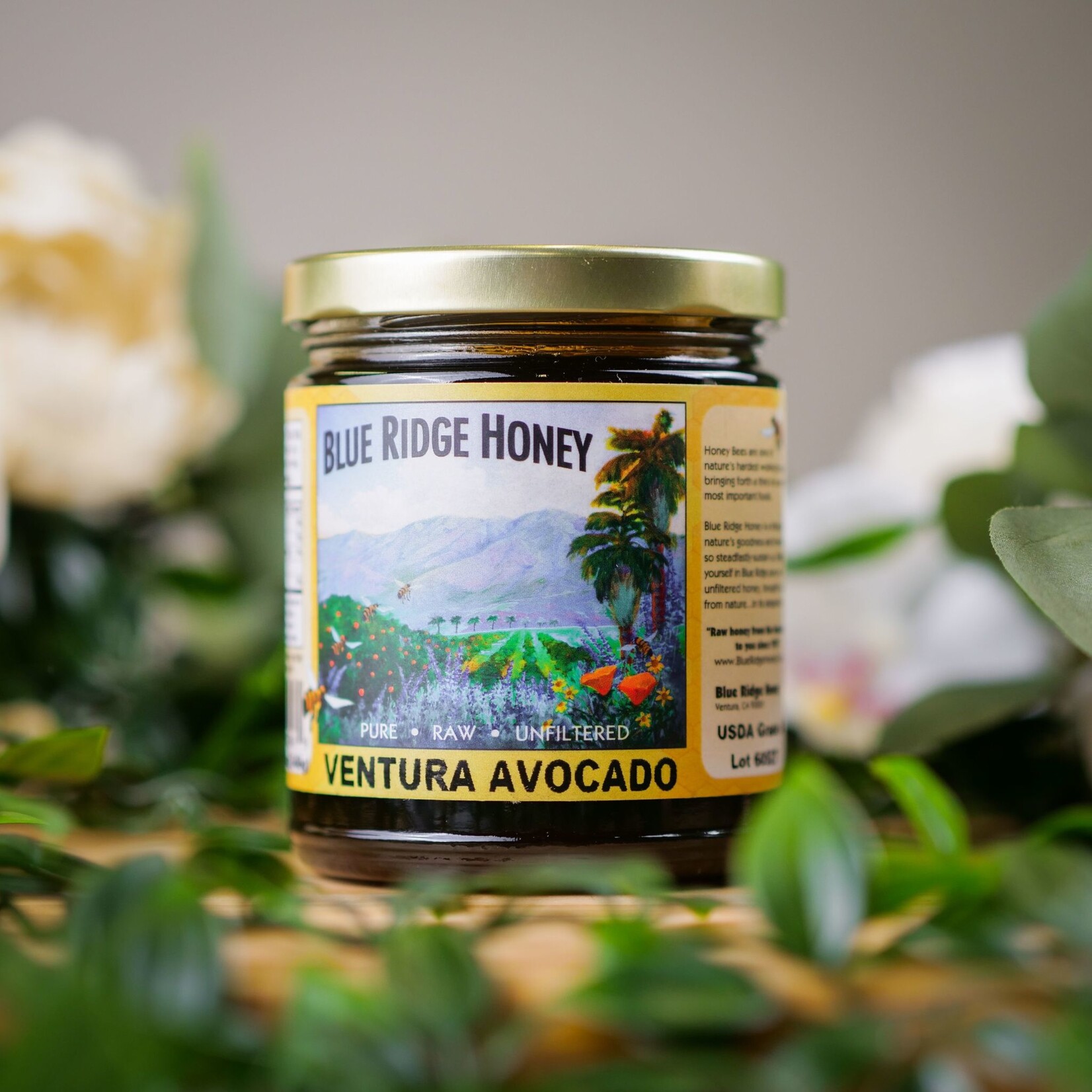 BRH -Ventura Avocado Honey