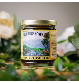 BRH -Ventura Avocado Honey