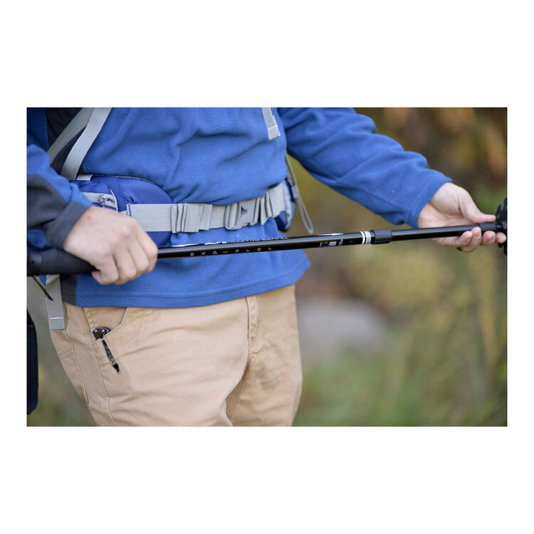 Alps Explorer Trekking Pole
