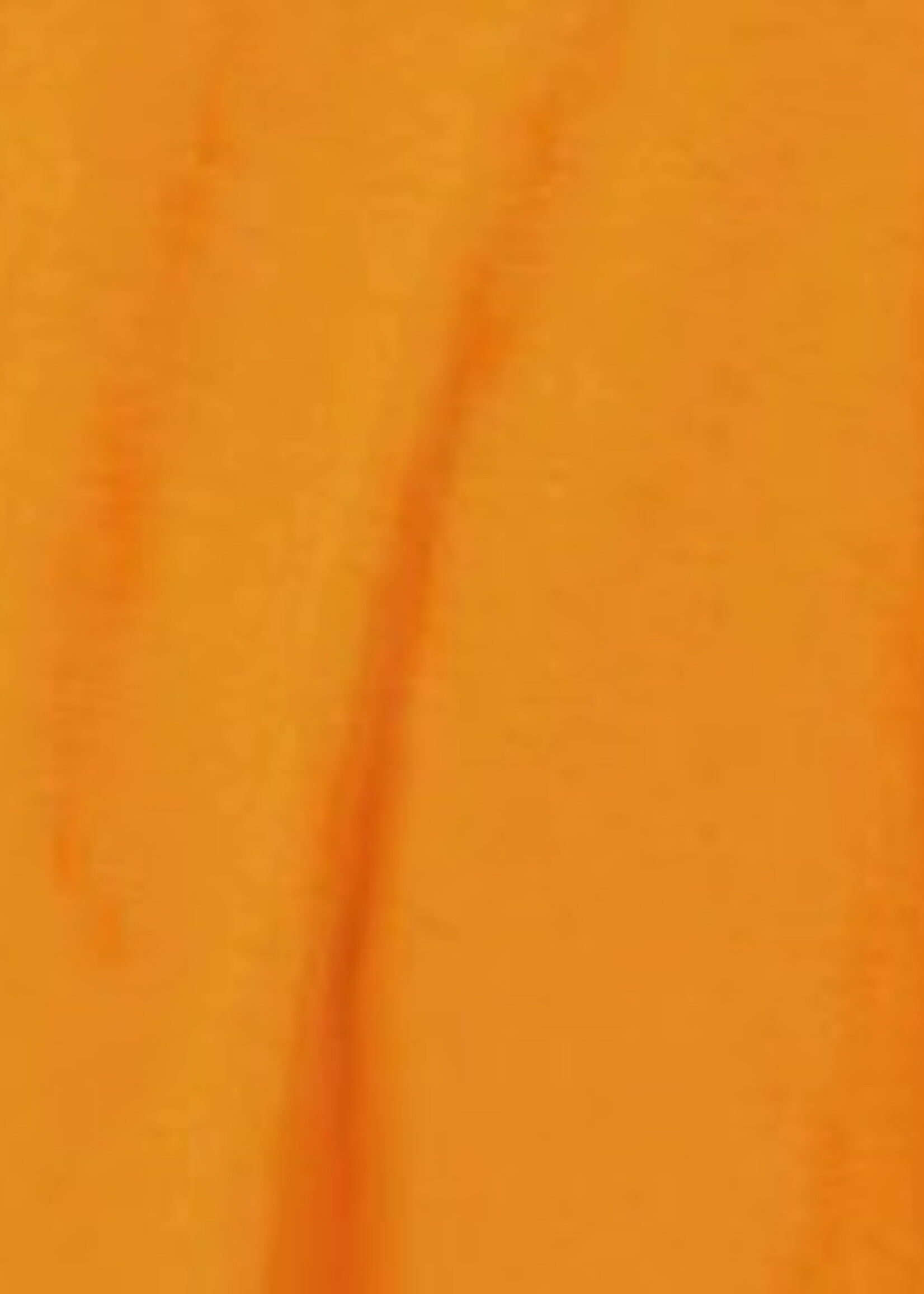 Michael Stars Lexy Tee