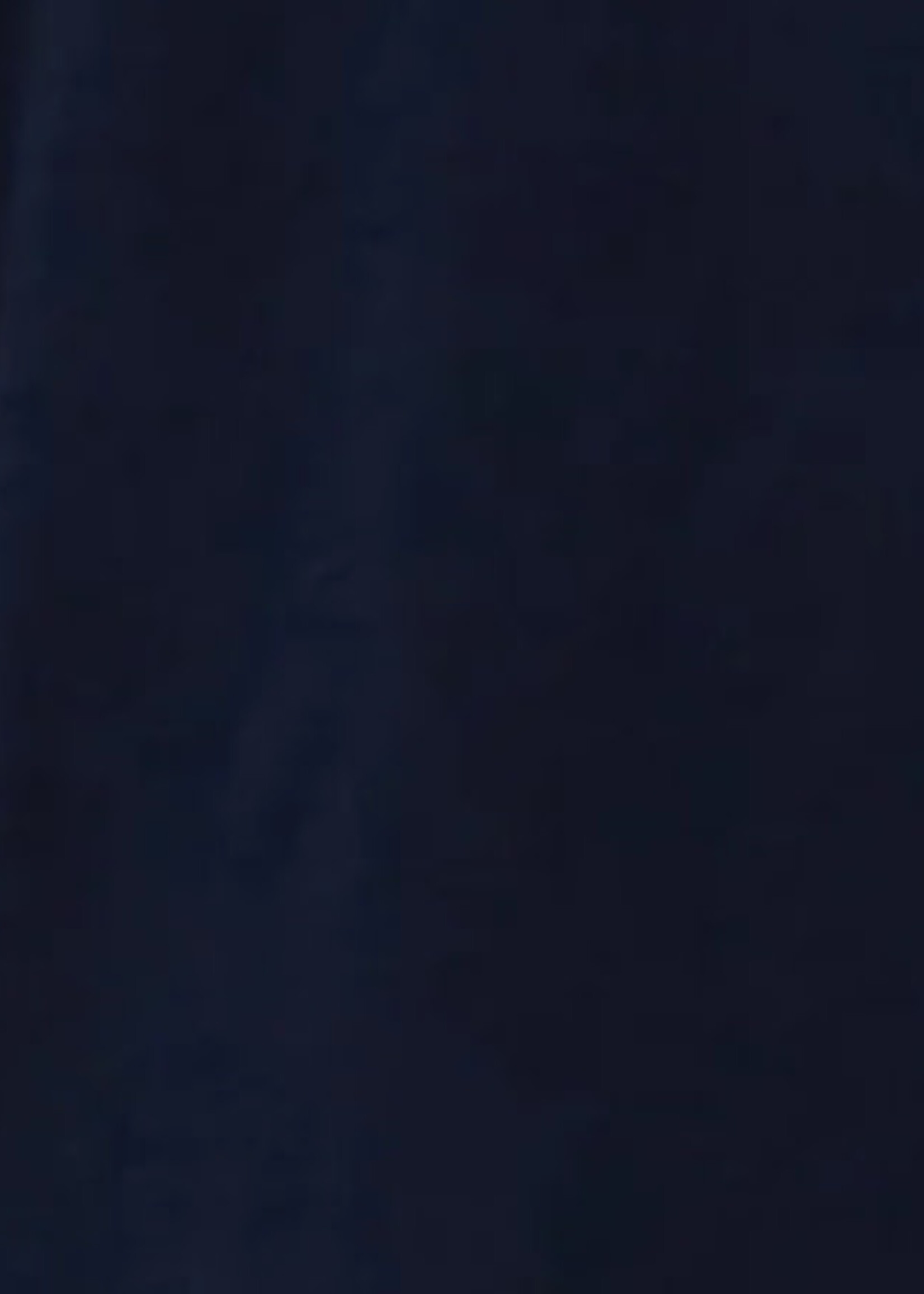 Michael Stars Randi V-Neck Midi Dress