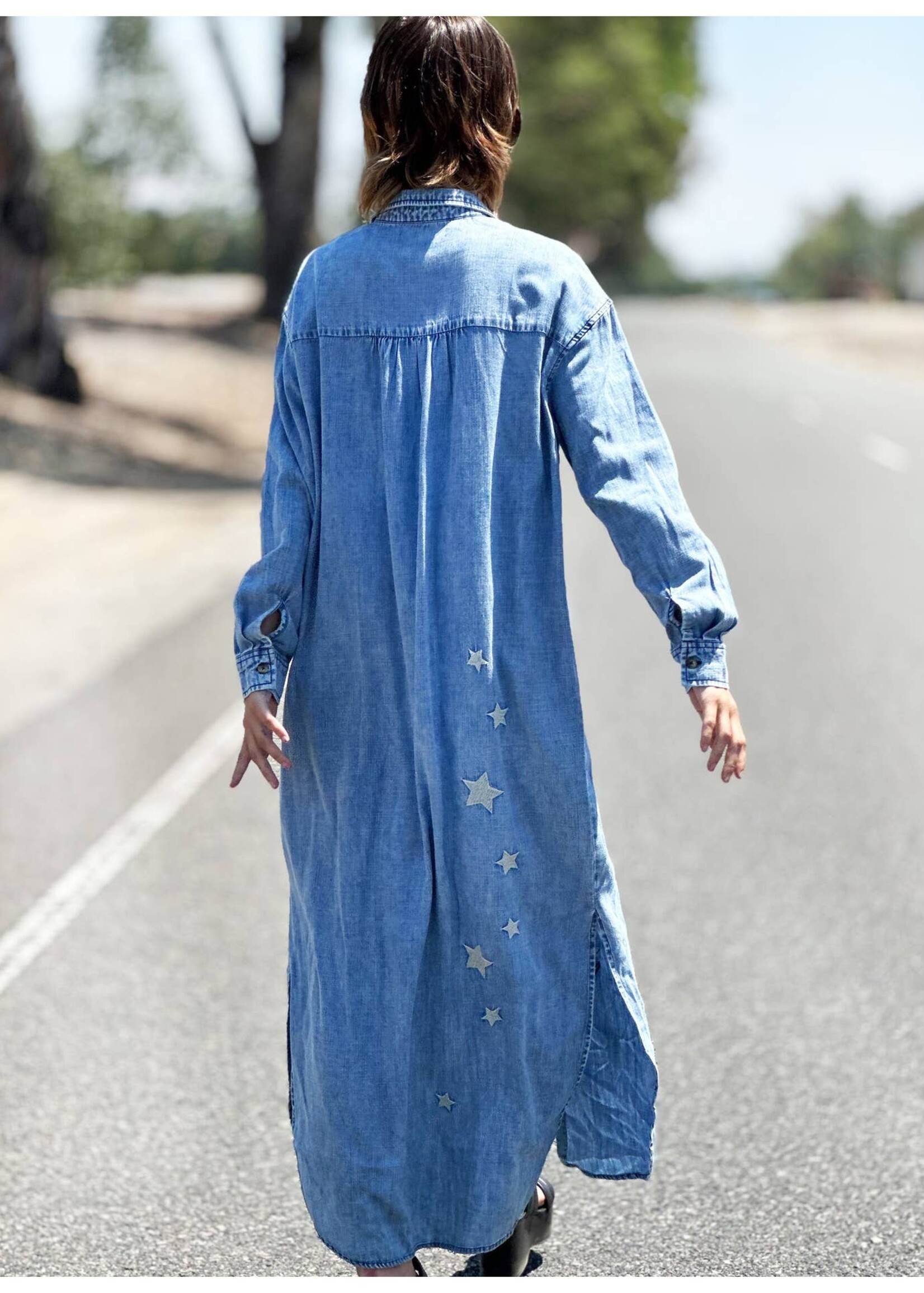 Billy T Denim Embroidered Shirtdress