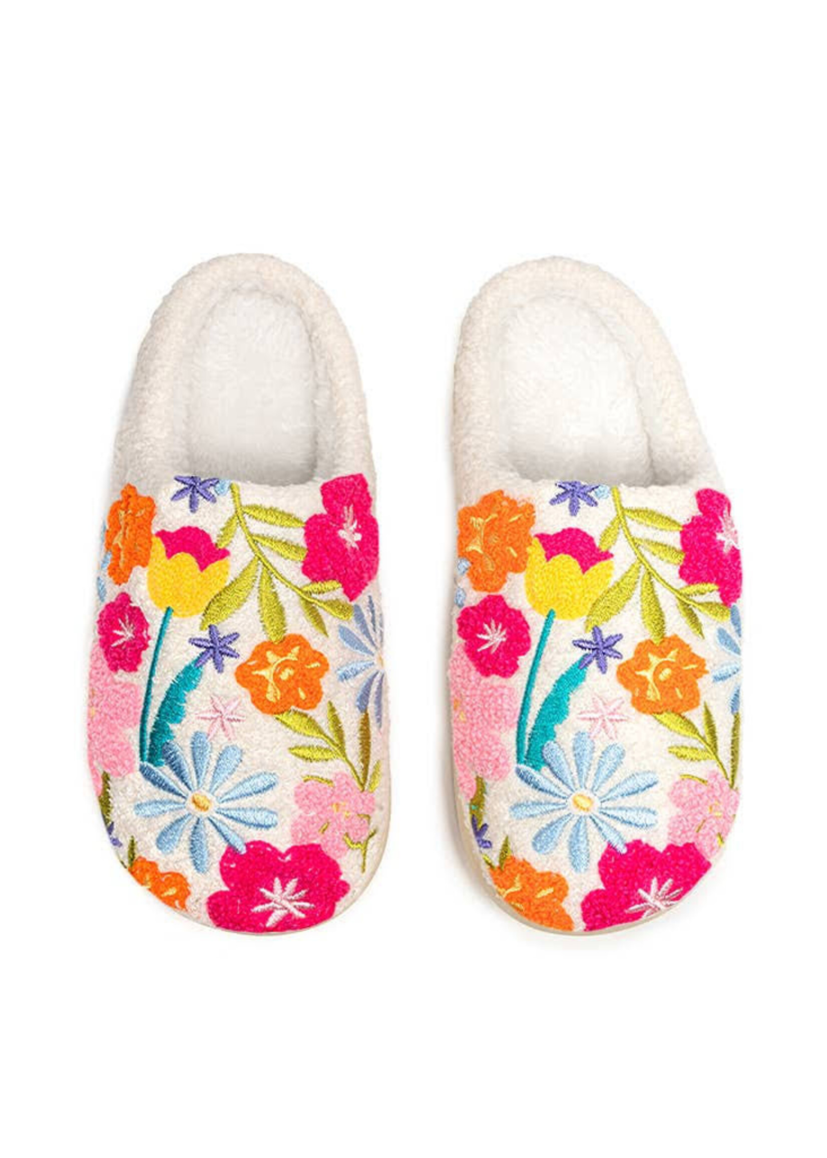 Slipper Flower Bloom