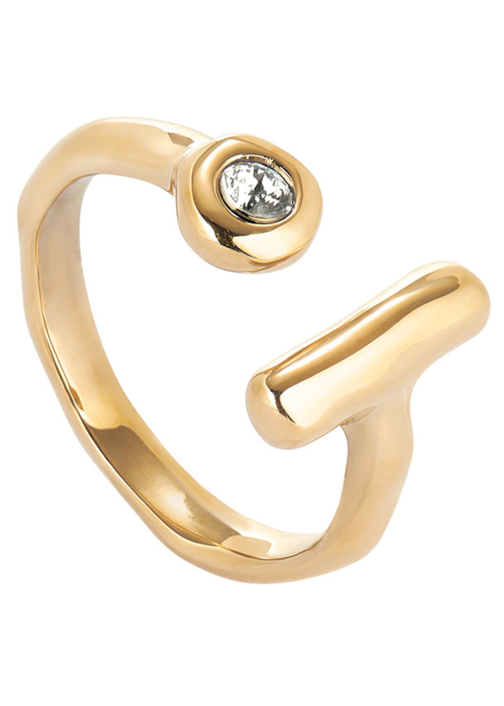 UNO de 50 ANI - ORO - SER INDOMABLE