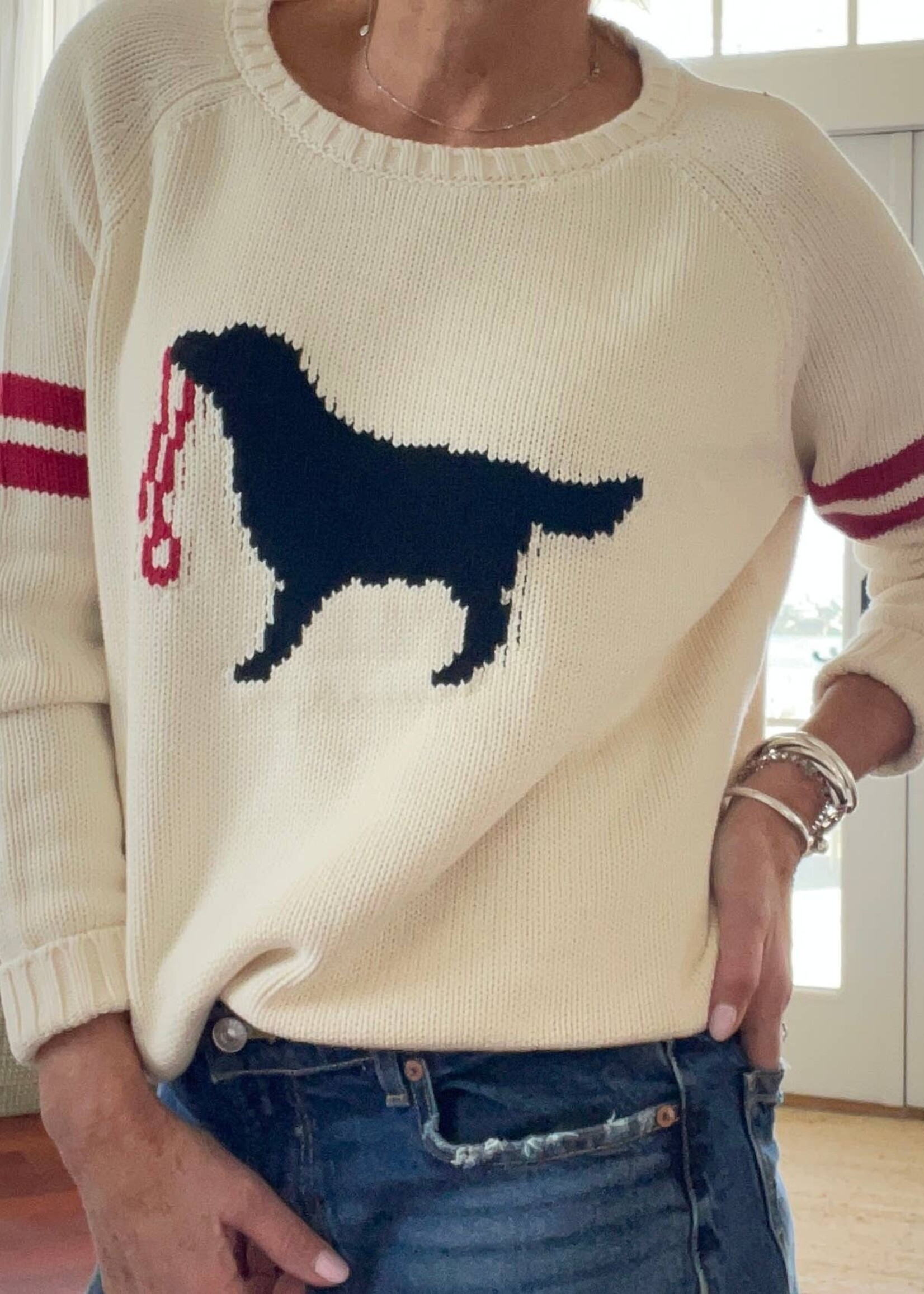 Pink Pineapple Black Dog Cotton Campus Sweater