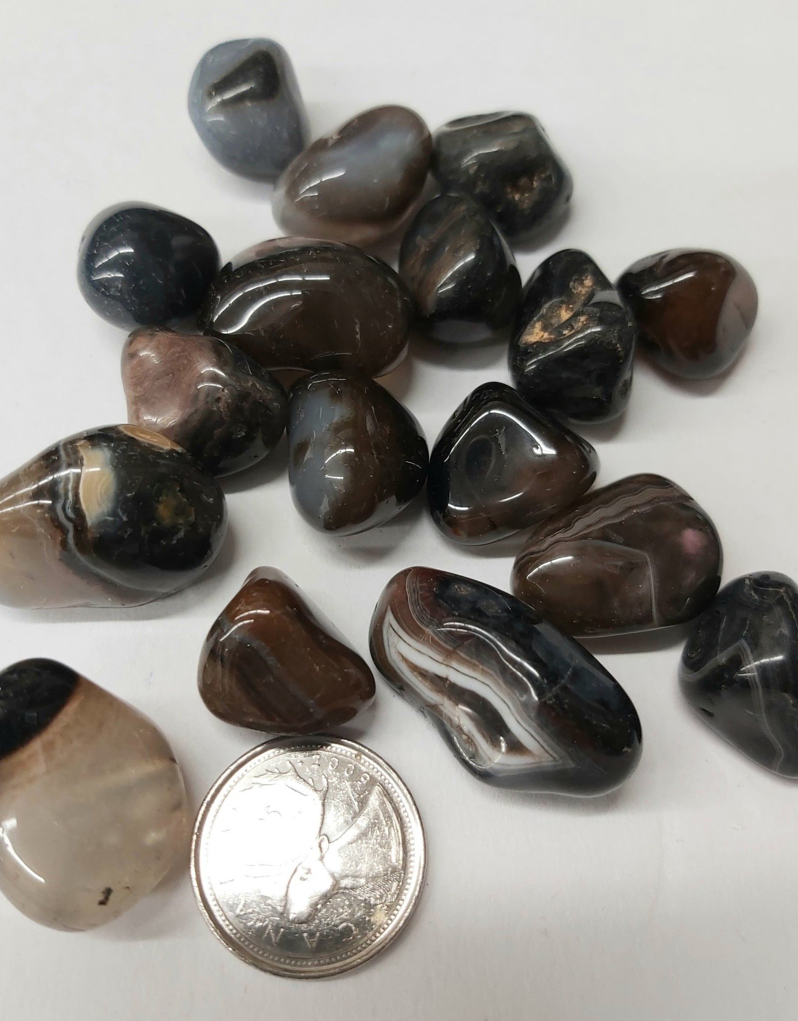 Black Banded Agate Tumbled $2